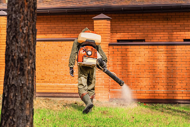 Trusted Termite Control service in Abbeville, SC - Nex Pest Control